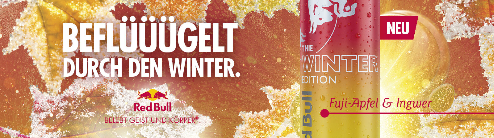 rb_tm_winter-edition-25_single_morandell_1600x450px_1